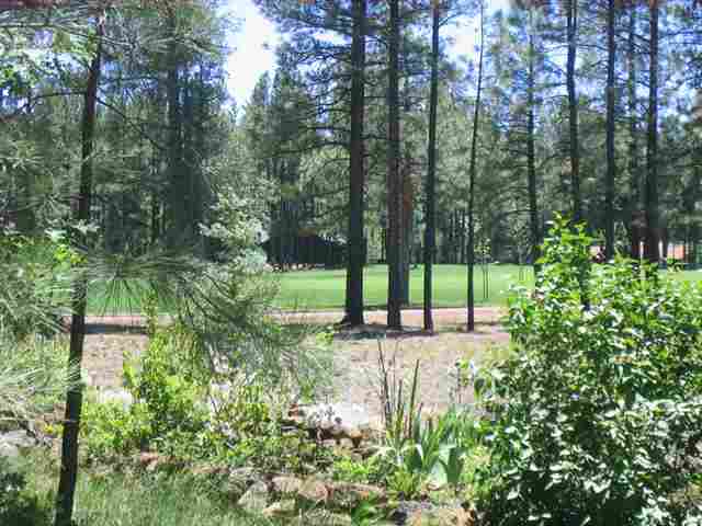 7483 Buck Springs Road Pinetop, AZ 85935 - Photo 1 of 9 Gallery Image 1