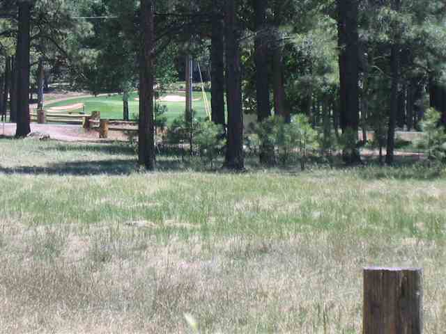 7483 Buck Springs Road Pinetop, AZ 85935 - Photo 2 of 9 Gallery Image 2