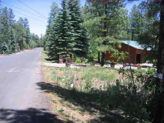 7483 Buck Springs Road Pinetop, AZ 85935 - Photo 5 of 9 Gallery Image 5
