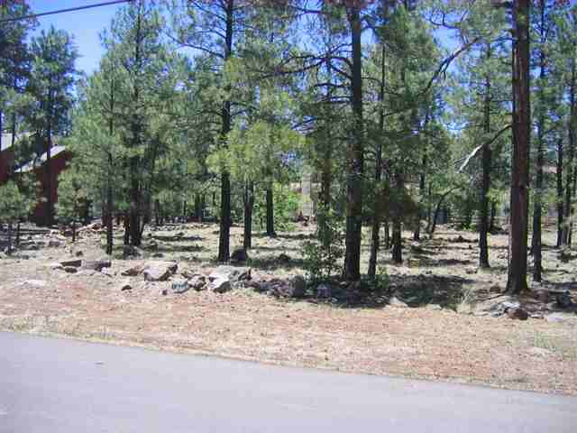 7483 Buck Springs Road Pinetop, AZ 85935 - Photo 6 of 9 Gallery Image 6