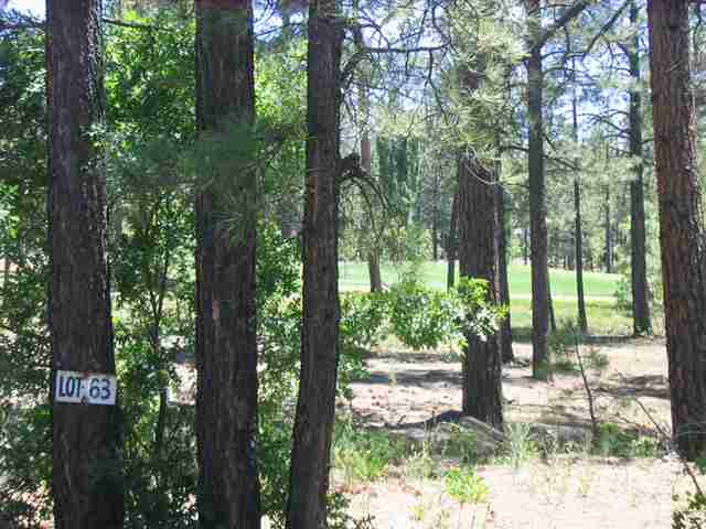 7483 Buck Springs Road Pinetop, AZ 85935 - Photo 7 of 9 Gallery Image 7
