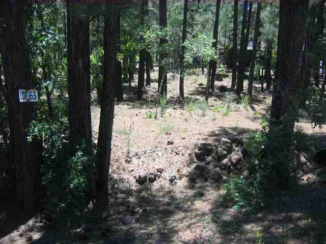 7483 Buck Springs Road Pinetop, AZ 85935 - Photo 8 of 9 Gallery Image 8