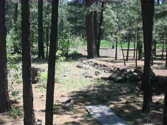 7483 Buck Springs Road Pinetop, AZ 85935 - Photo 9 of 9 Gallery Image 9