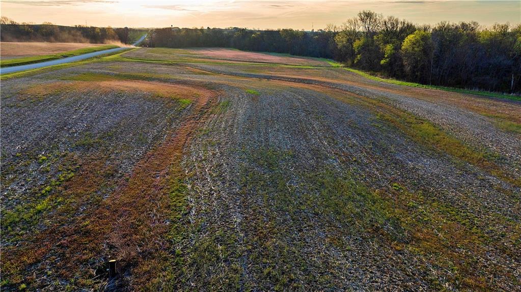 1 Williams Road Dearborn, MO 64439 - Photo 9 of 16