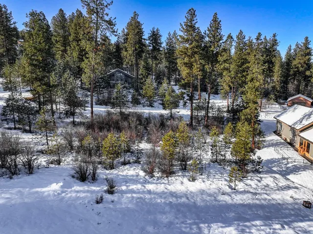 $98,500 | Lot 17 Nelson Court, Unit 17, New Meadows, ID 83654