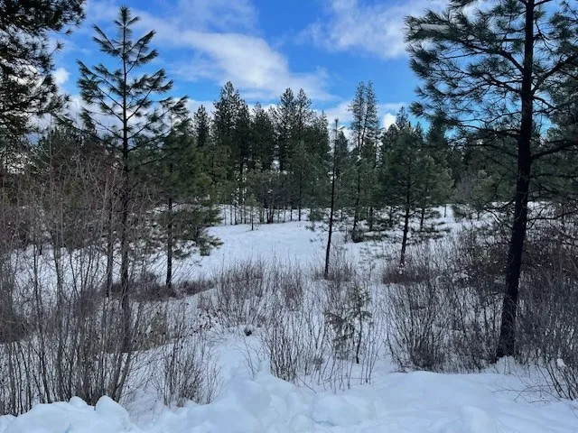 $98,500 | Lot 17 Nelson Court, Unit 17, New Meadows, ID 83654