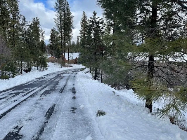 $98,500 | Lot 17 Nelson Court, Unit 17, New Meadows, ID 83654