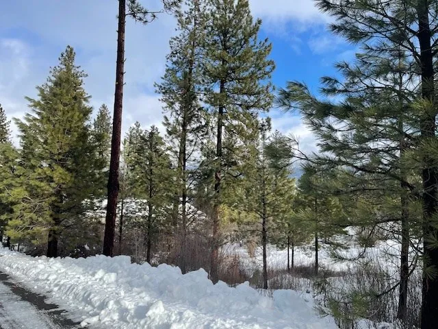 $98,500 | Lot 17 Nelson Court, Unit 17, New Meadows, ID 83654