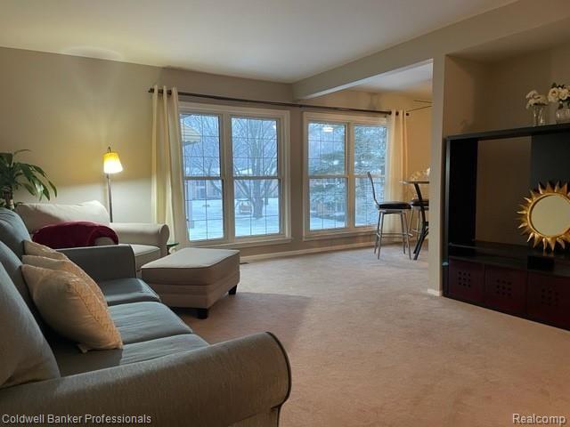 1199 South Sheldon Road, Unit J71 Plymouth, MI 48170 - Photo 17 of 37 Open Space