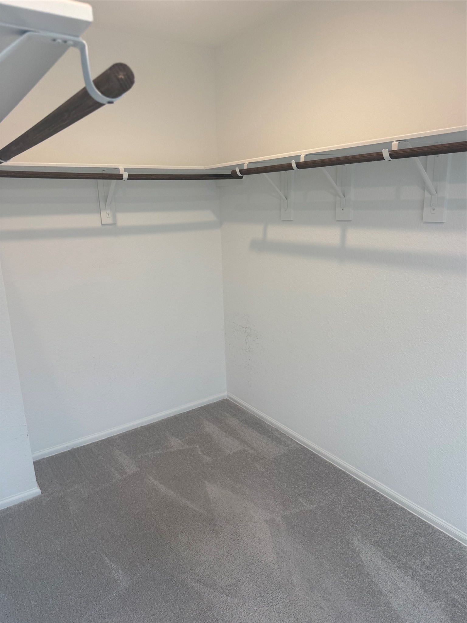 3202 Holly Stokes Way Conroe, TX 77301 - Photo 14 of 24 a close view of closet