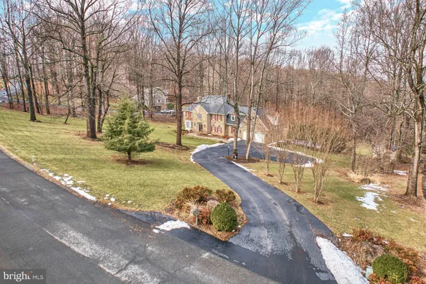 a view of a yard with an trees