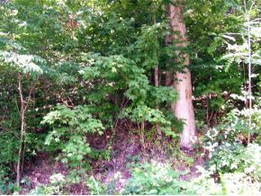 0 Hodge Hollow Road Pulaski, VA 24301 - Photo 1 of 1 Photo 1