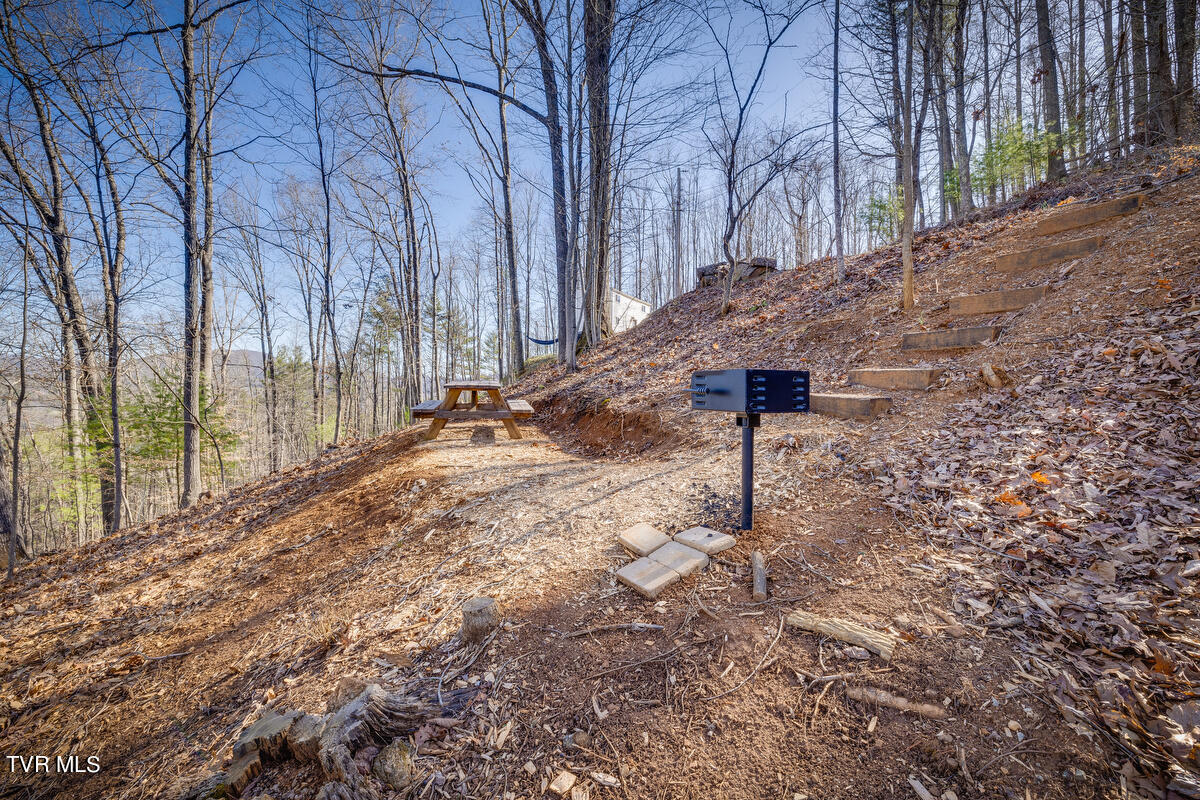 601 Watauga Overlook Drive, Unit 37 Butler, TN 37640 - Photo 20 of 32 022