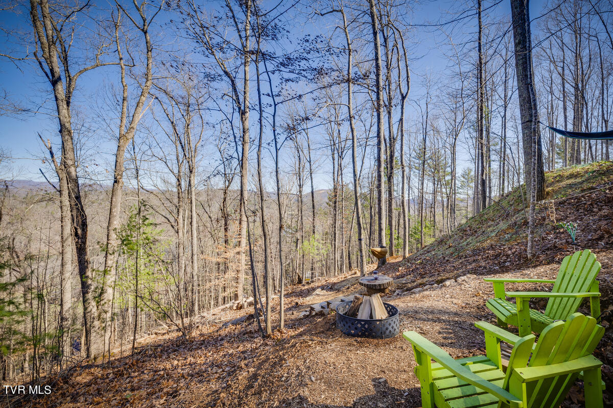 601 Watauga Overlook Drive, Unit 37 Butler, TN 37640 - Photo 4 of 32 021