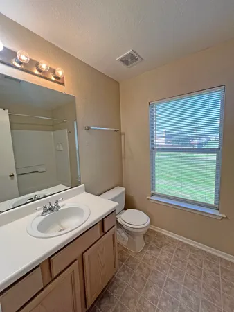 a bathroom with a sink a toilet a mirror and a tub