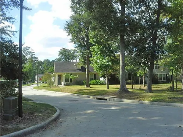 a view of a park with side of palm trees