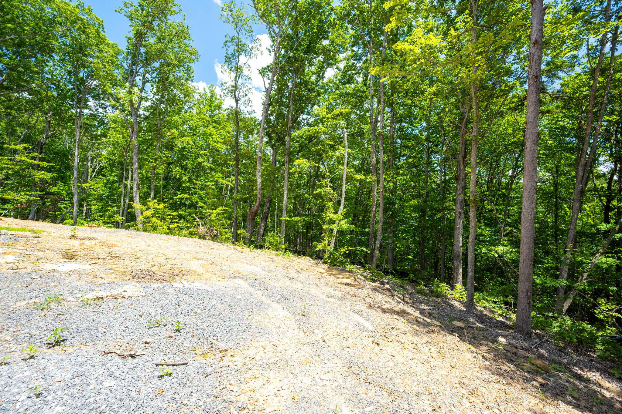 5148 Virginia Pine Road Signal Mountain, TN 37377 - Photo 50 of 50 55-web-or-mls-DSC_8115