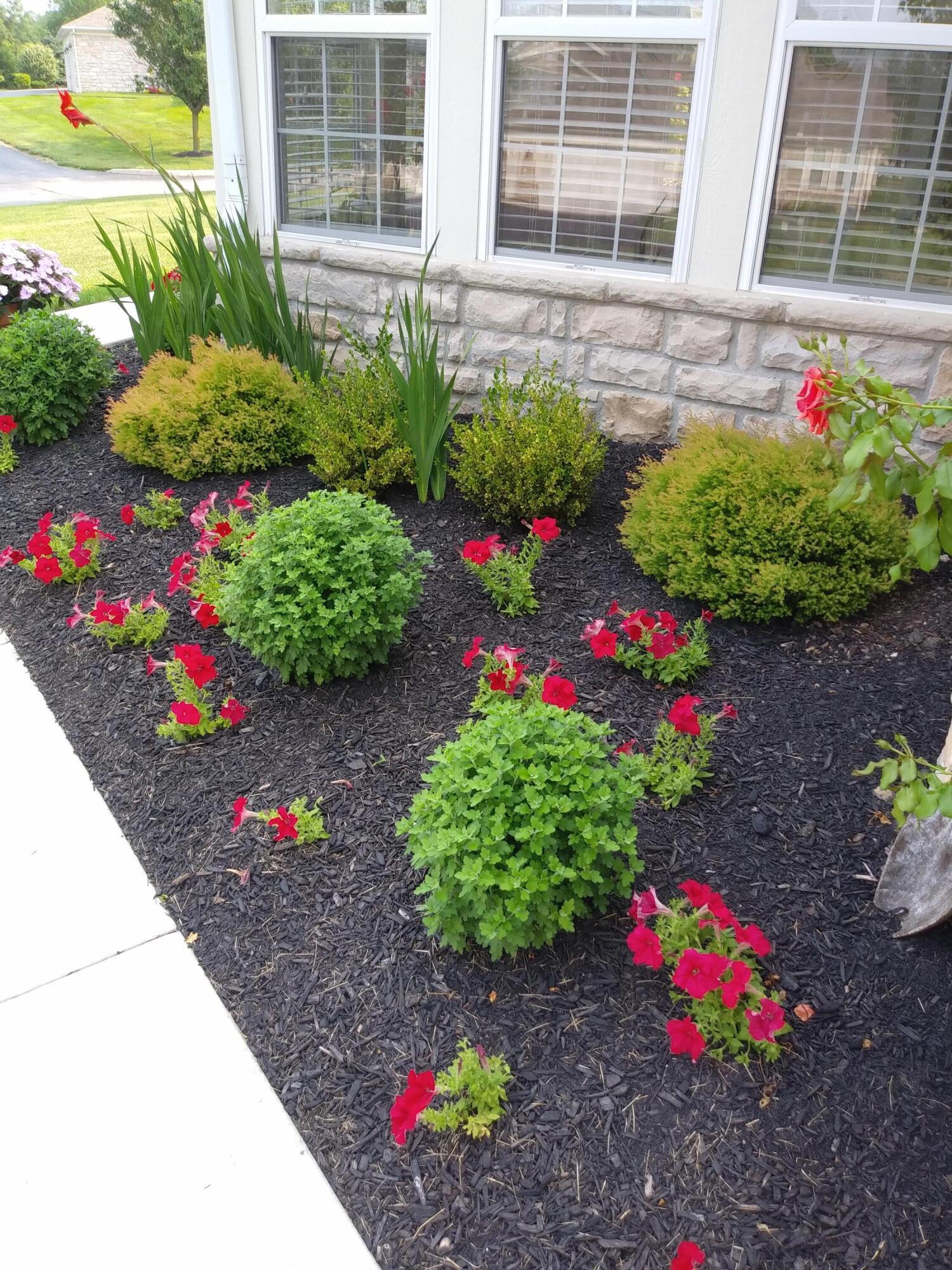 6431 Springwell Place Powell, OH 43065 - Photo 4 of 54 FlowerBed2