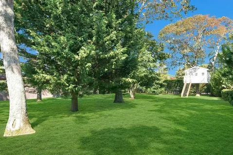 a view of green field with trees