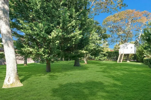 a view of green field with trees