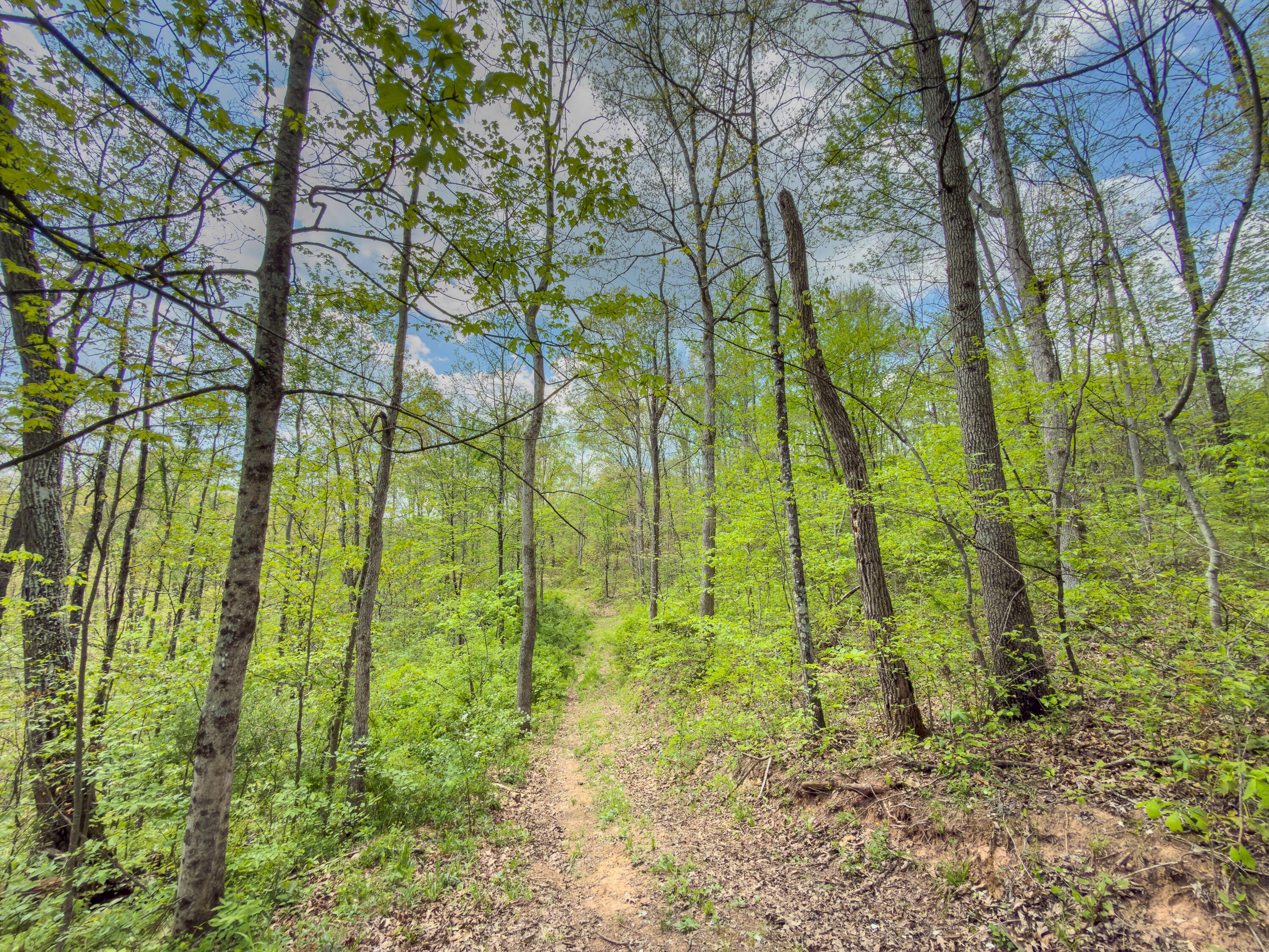 0 Beardmore Road Wingett Run, OH 45789 - Photo 21 of 43 beardmore rd-21