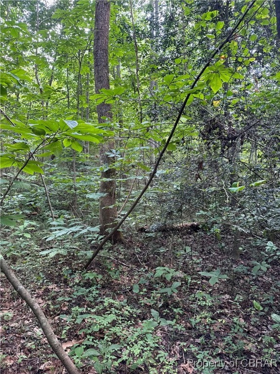 5.7-ac Dutton Road Gloucester, VA 23061 - Photo 11 of 21