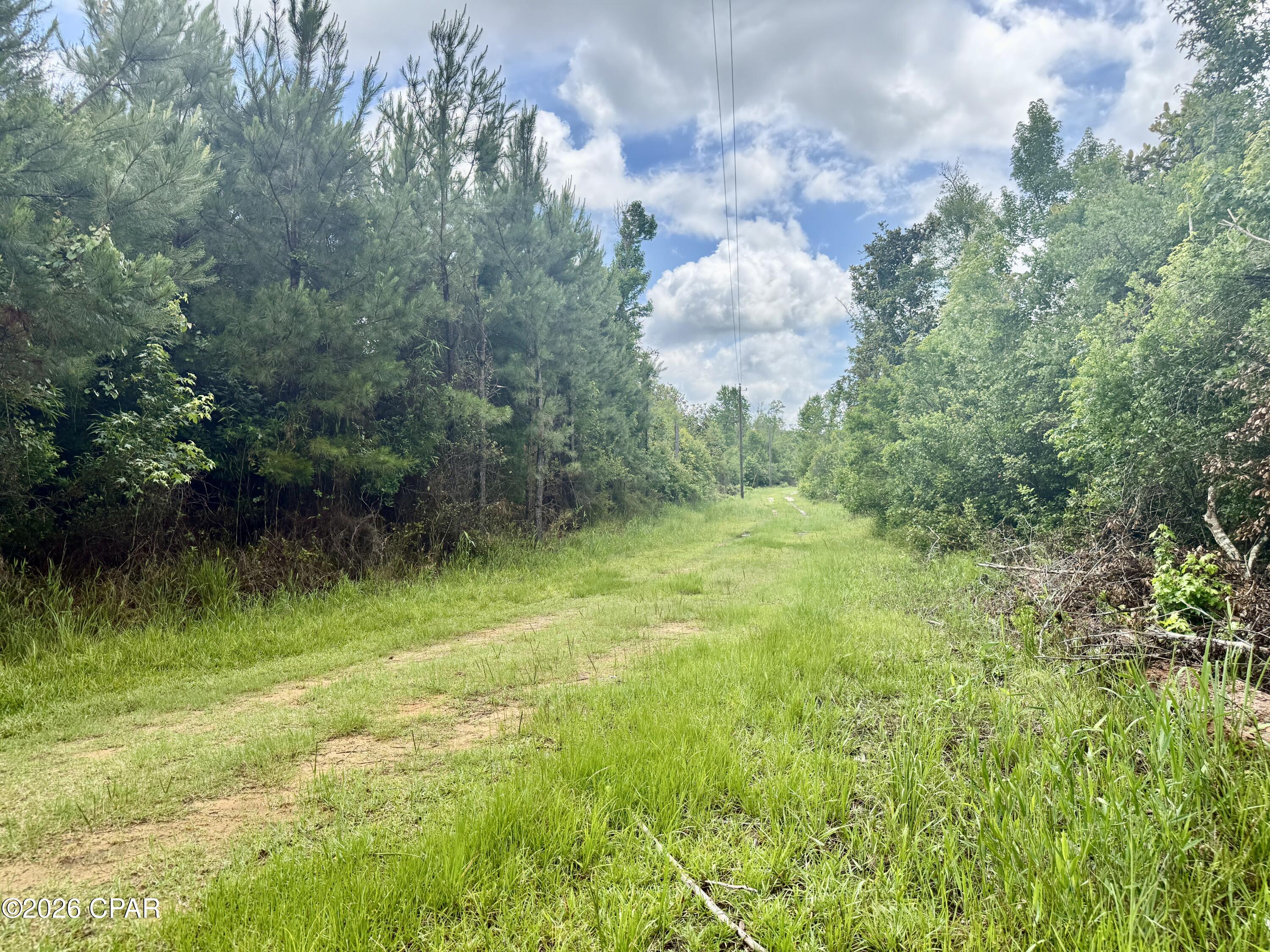 14567 C J Roberts Road Blountstown, FL 32424 - Photo 34 of 38