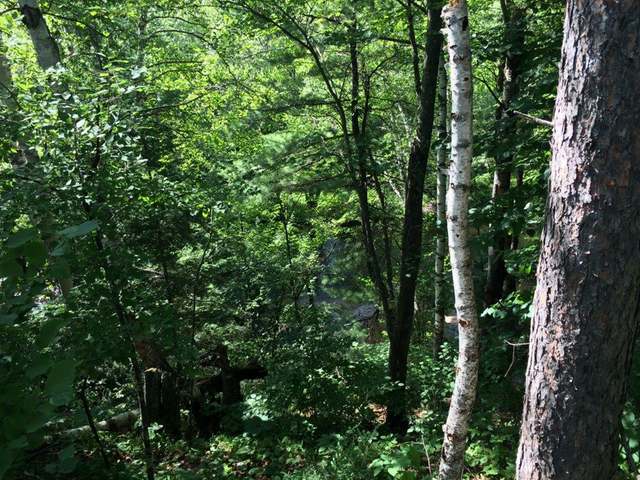 1 Drifting Waters Trail Rhinelander, WI 54501 - Photo 10 of 19 Gallery Image 10