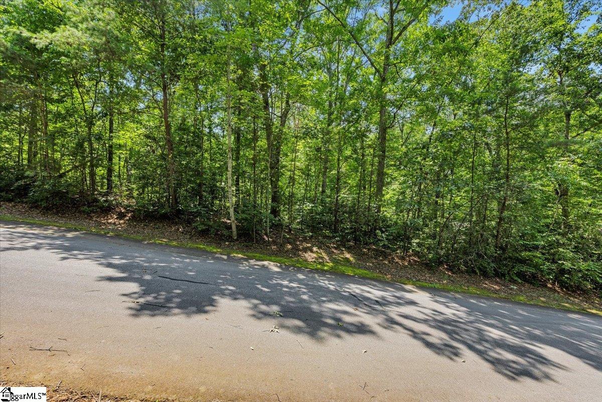 14 R-Pd-161 Travelers Rest, SC 29690 - Photo 5 of 19