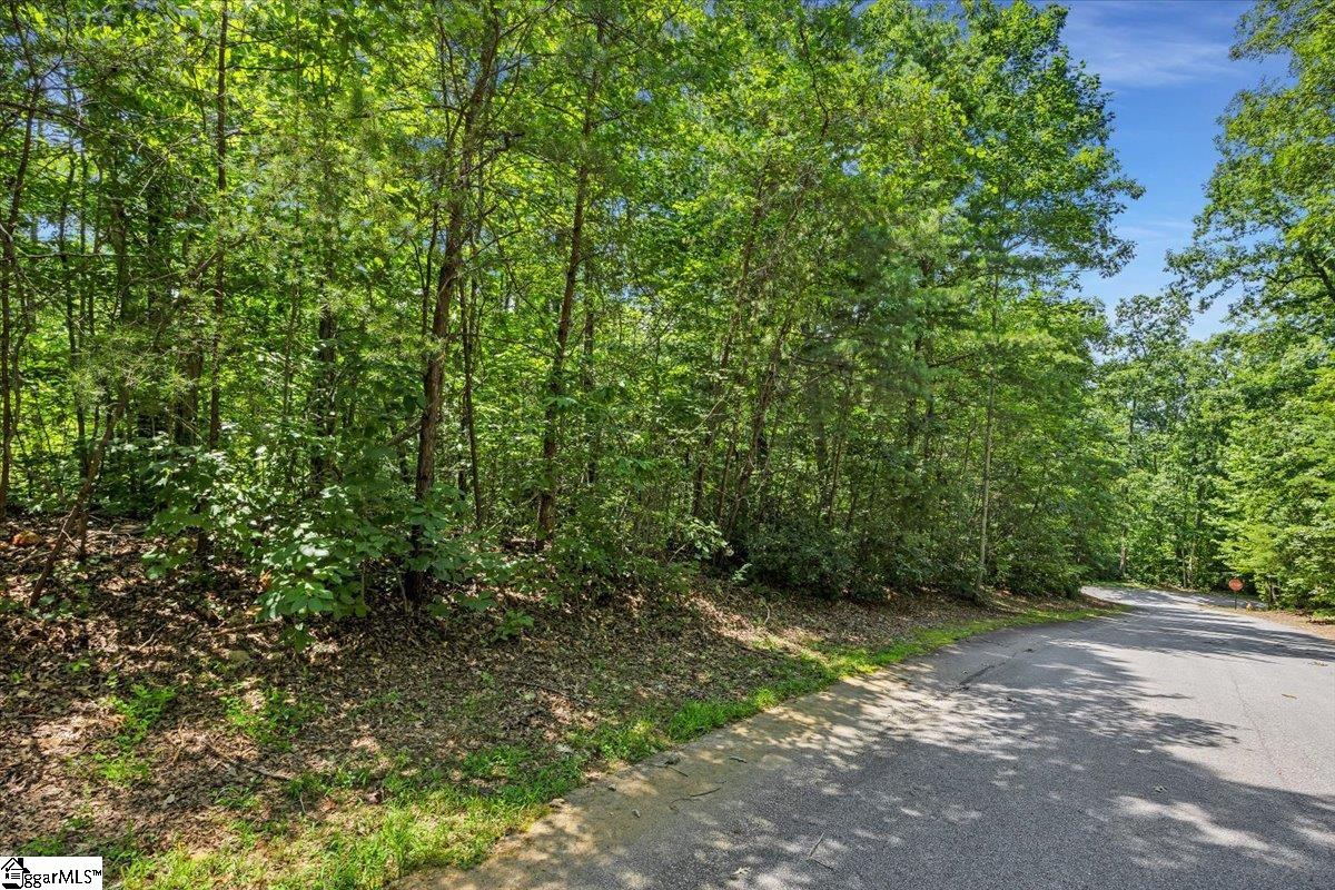 14 R-Pd-161 Travelers Rest, SC 29690 - Photo 6 of 19