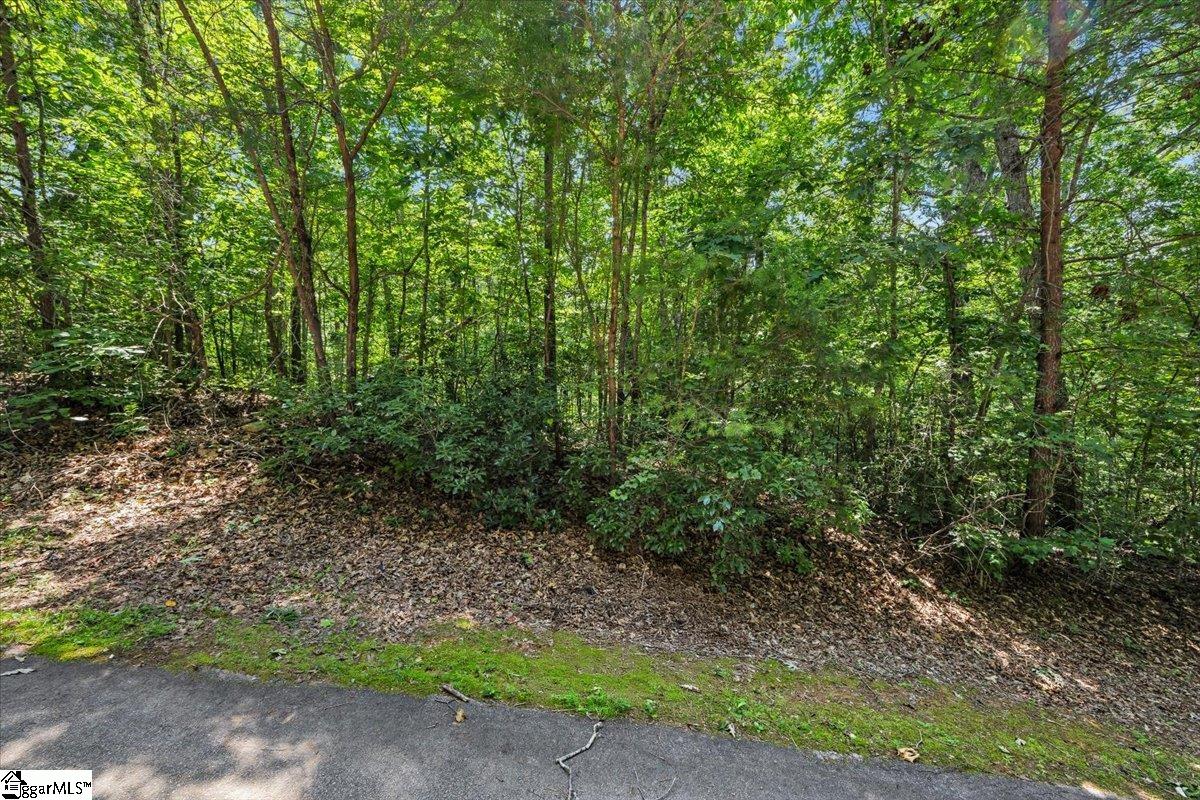 14 R-Pd-161 Travelers Rest, SC 29690 - Photo 7 of 19