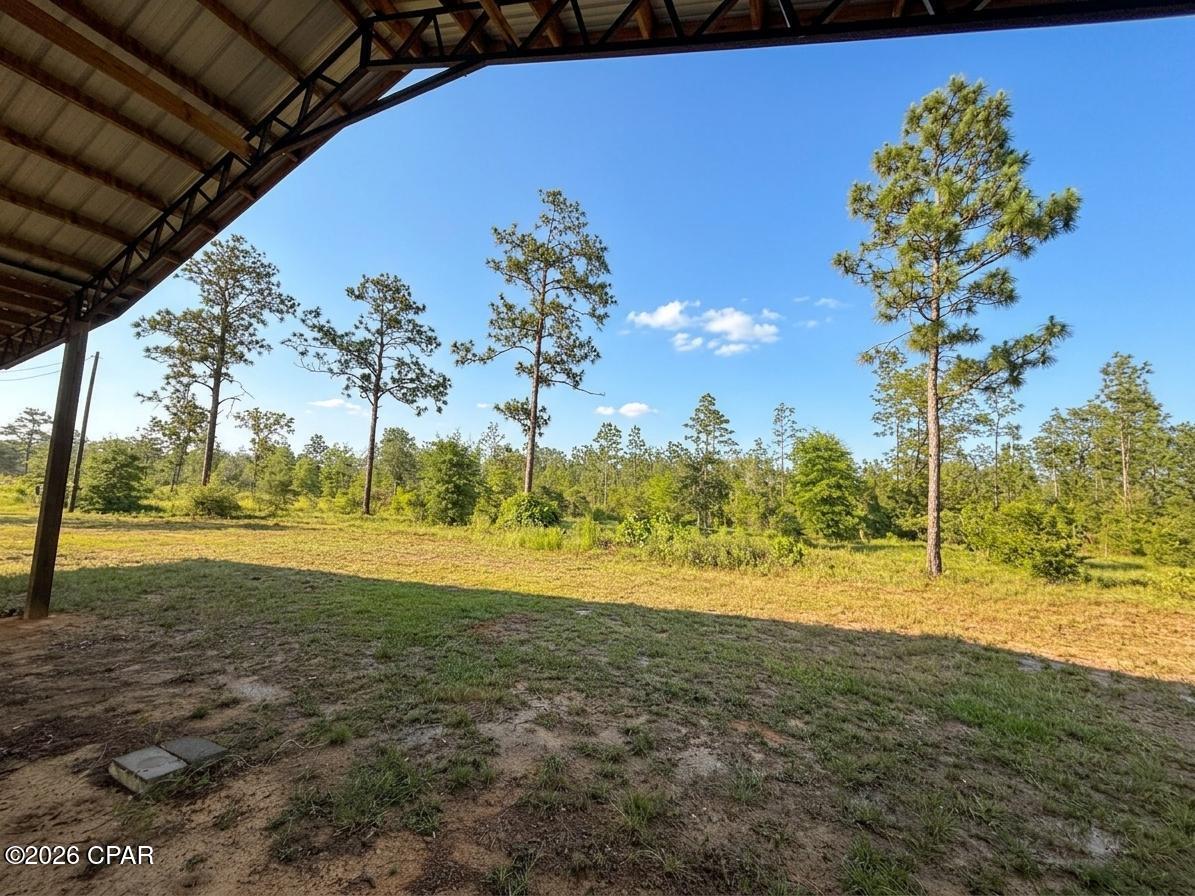 268 Horse Farm Road Marianna, FL 32448 - Photo 9 of 21