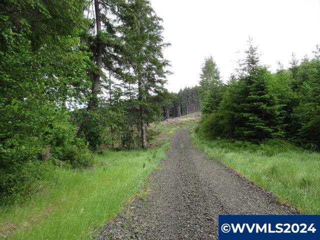 0 Northwest Fairdale Road Yamhill, OR 97148 - Photo 15 of 27