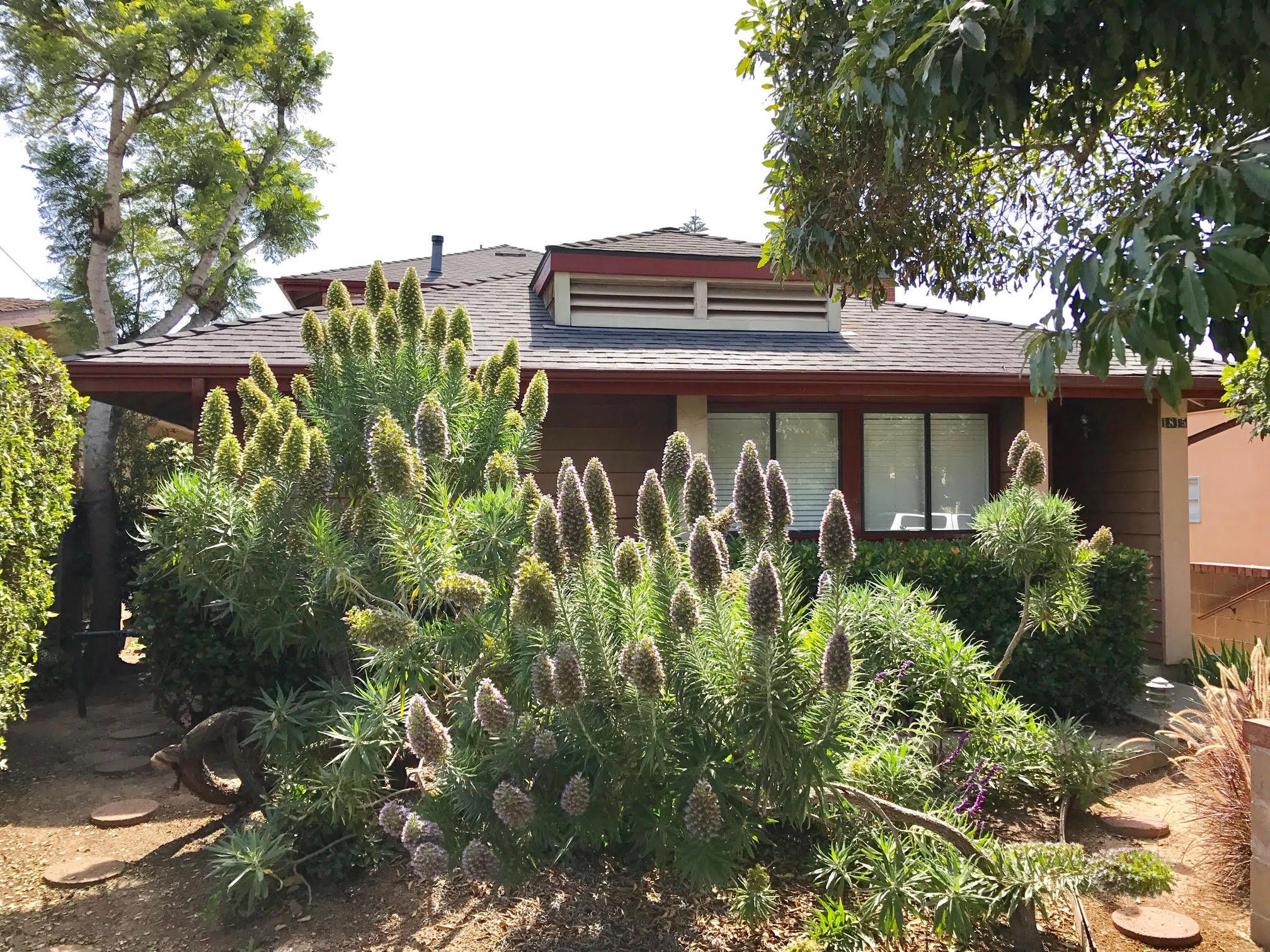 1815 Bath Street, Unit 1 Santa Barbara, CA 93101 - Photo 1 of 19 a view of a backyard with plants