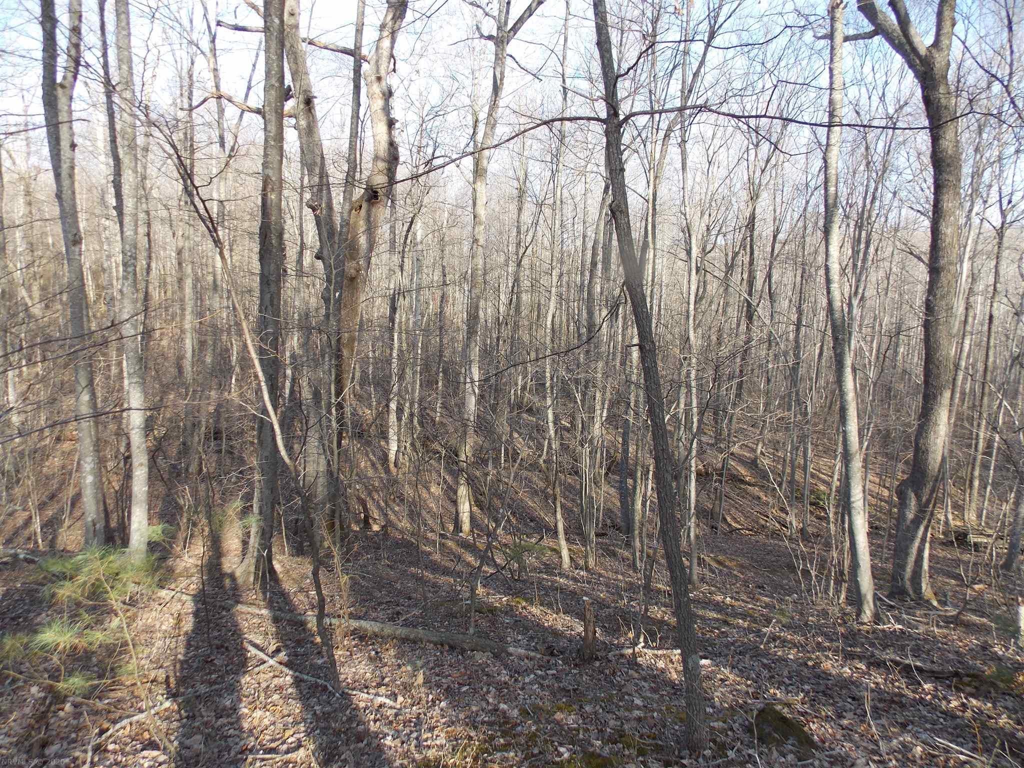 Tbd Broad Hollow Road Southeast Floyd, VA 24091 - Photo 38 of 45 Gallery Image 38