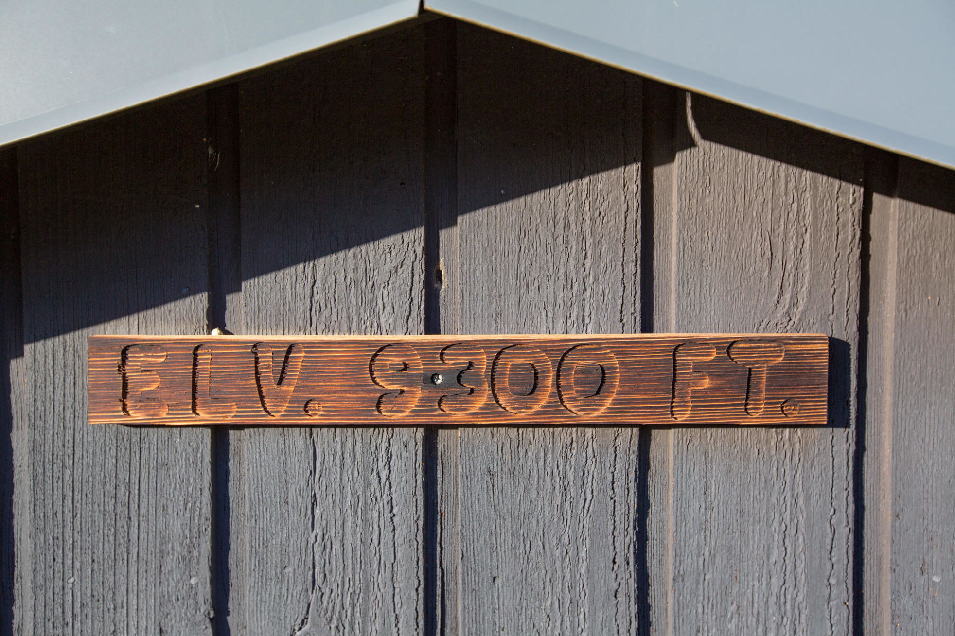 3289 Laughing Dog Road Placerville, CO 81430 - Photo 42 of 52 a view of outdoor space