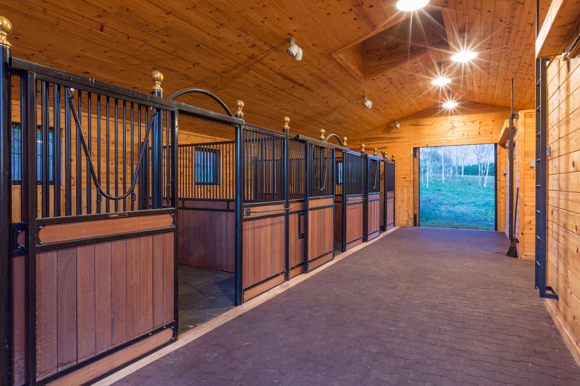 3289 Laughing Dog Road Placerville, CO 81430 - Photo 46 of 52 a view of a backyard