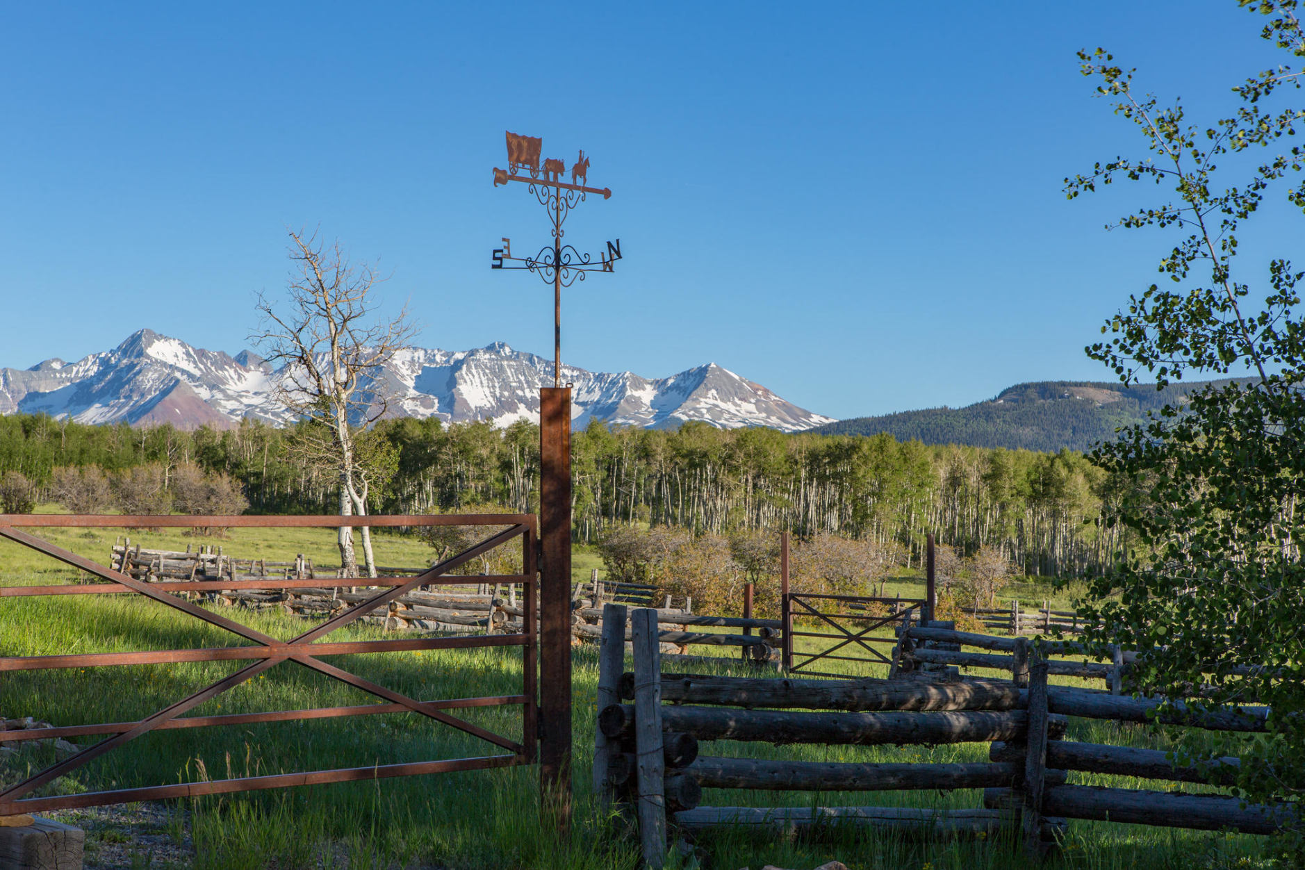 3289 Laughing Dog Road Placerville, CO 81430 - Photo 50 of 52 a view of a terrace