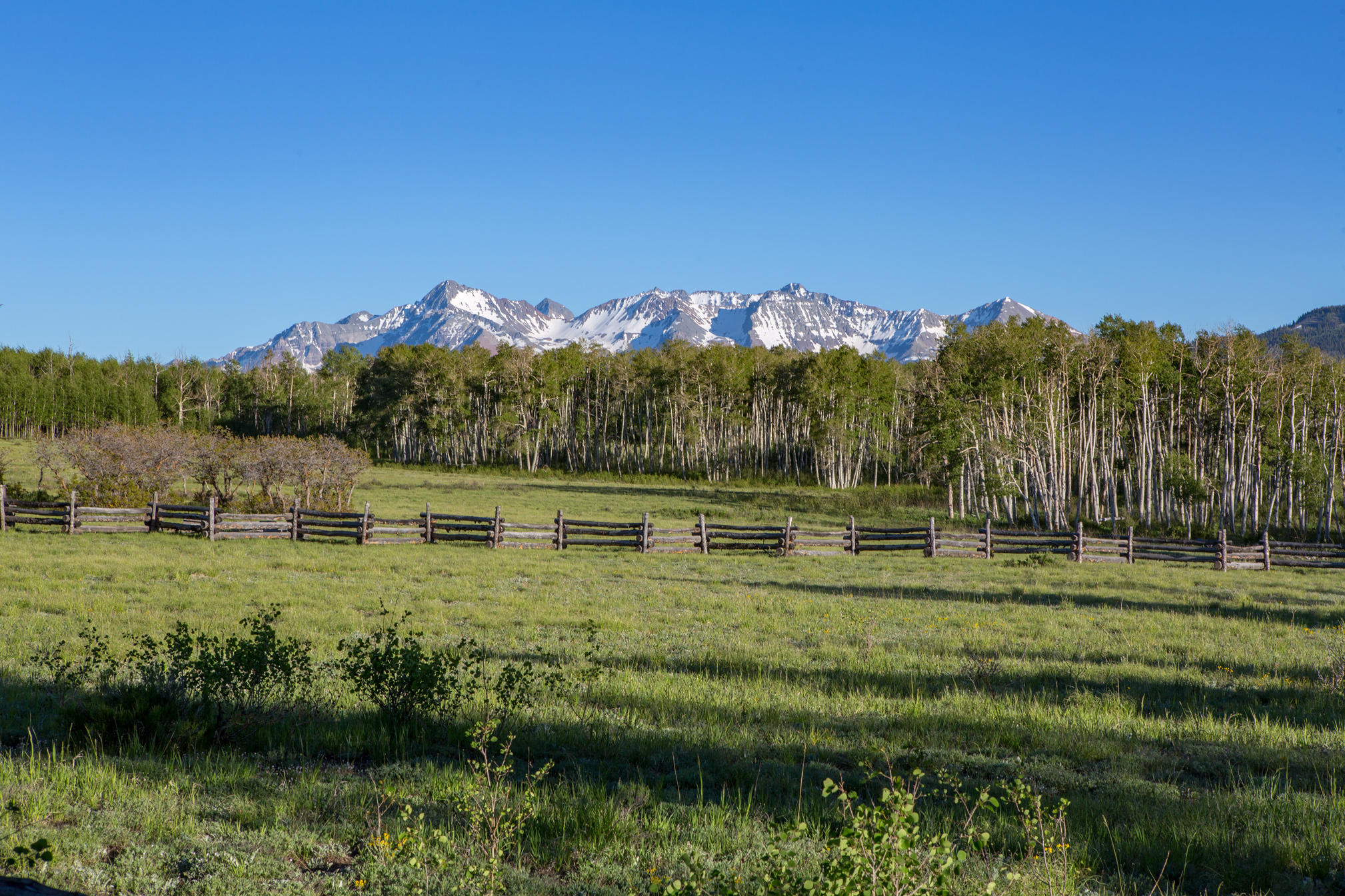 3289 Laughing Dog Road Placerville, CO 81430 - Photo 51 of 52 a view of a lake with a mountain in the background