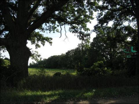 6000 30 Mile Road Washington, MI 48095 - Photo 7 of 9 908470-6.JPG