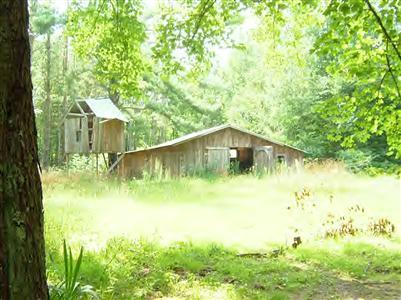 4322 East Johnson Road Custer, MI 49405 - Photo 3 of 13 Additional Photo