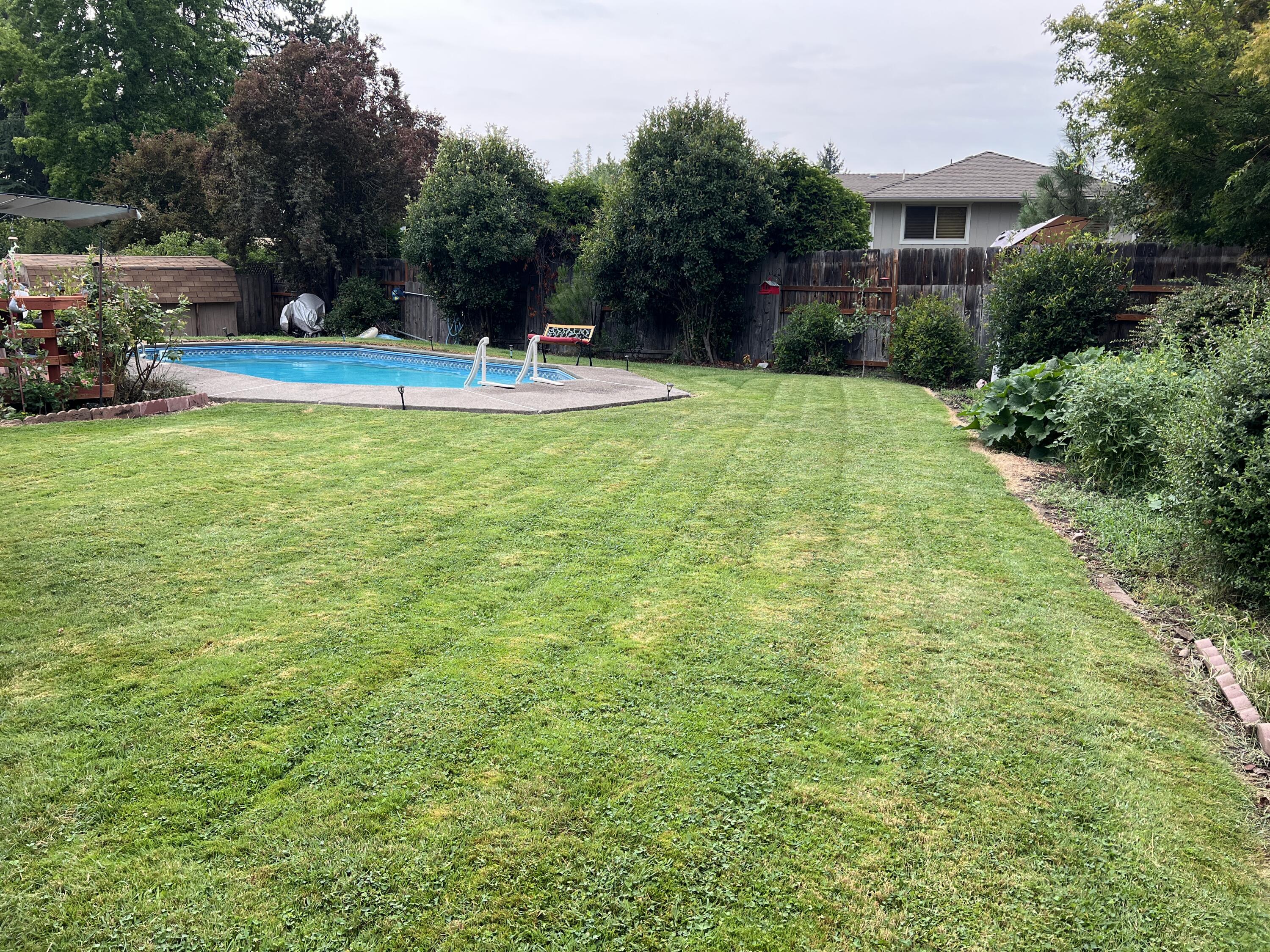 2185 Spring Street Medford, OR 97504 - Photo 28 of 32 Back Yard