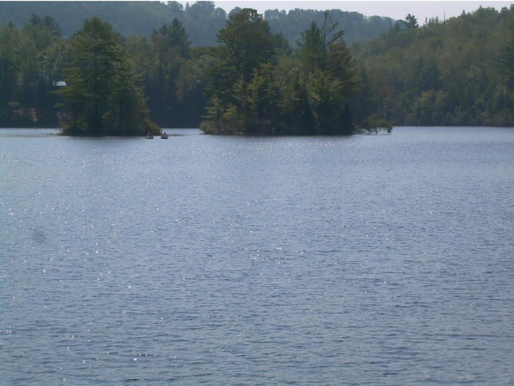 313 Swiftwater Road Haverhill, NH 03785 - Photo 26 of 29 Gallery Image 26
