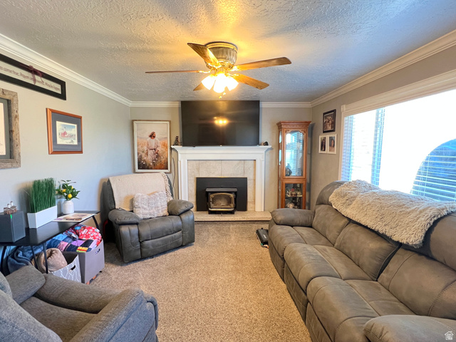 1852 East 3500th Street South Vernal, UT 84078 - Photo 7 of 46 Living area with a textured ceiling, ornamental molding, a ceiling fan, and carpet