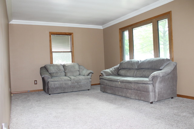 380 East Washington Street Grand Ridge, IL 61325 - Photo 3 of 10