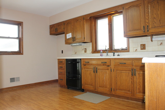 380 East Washington Street Grand Ridge, IL 61325 - Photo 4 of 10