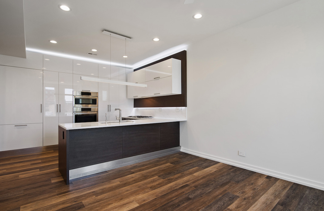 1420 West Fulton Street, Unit 2 Chicago, IL 60607 - Photo 4 of 17