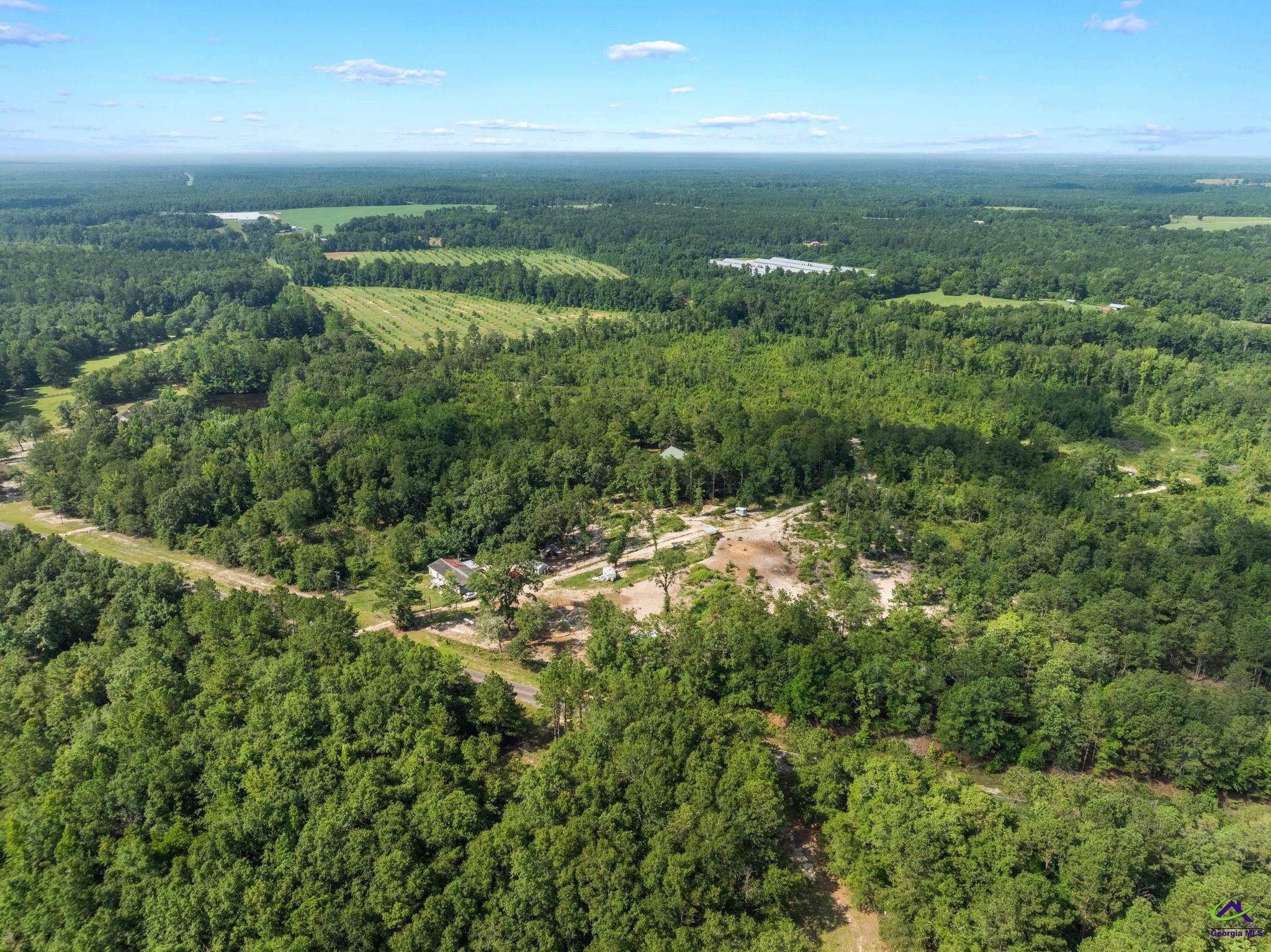 785 Moncrief Road Roberta, GA 31078 - Photo 19 of 29