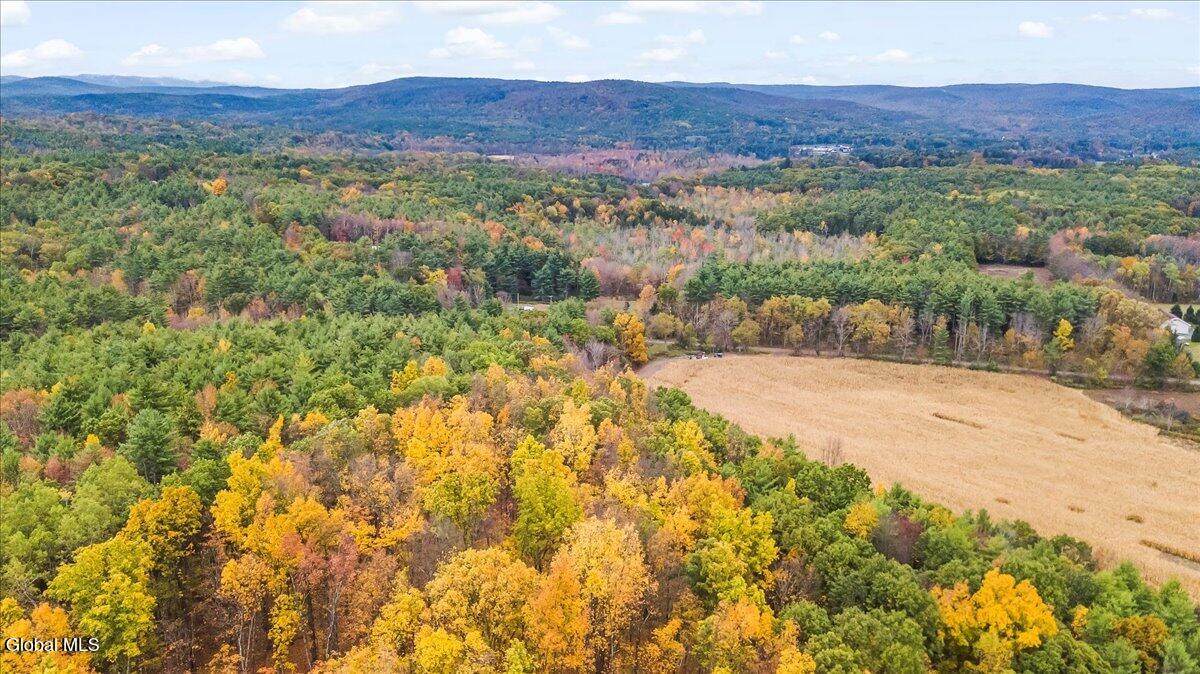474 Groveside Road Pittstown, NY 12090 - Photo 117 of 133 06-DJI_0016