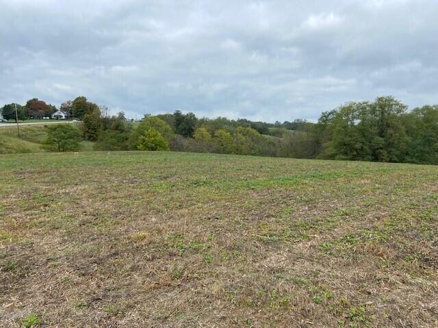 0 Brooksville Chatham Road Augusta, KY 41002 - Photo 4 of 7 Gallery Image 4